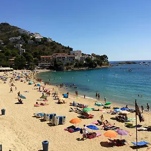 Buraux Iii , Roses Espagne